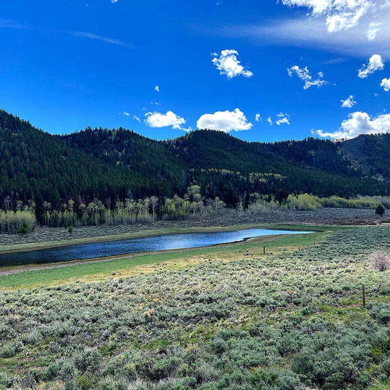 Gore Canyon