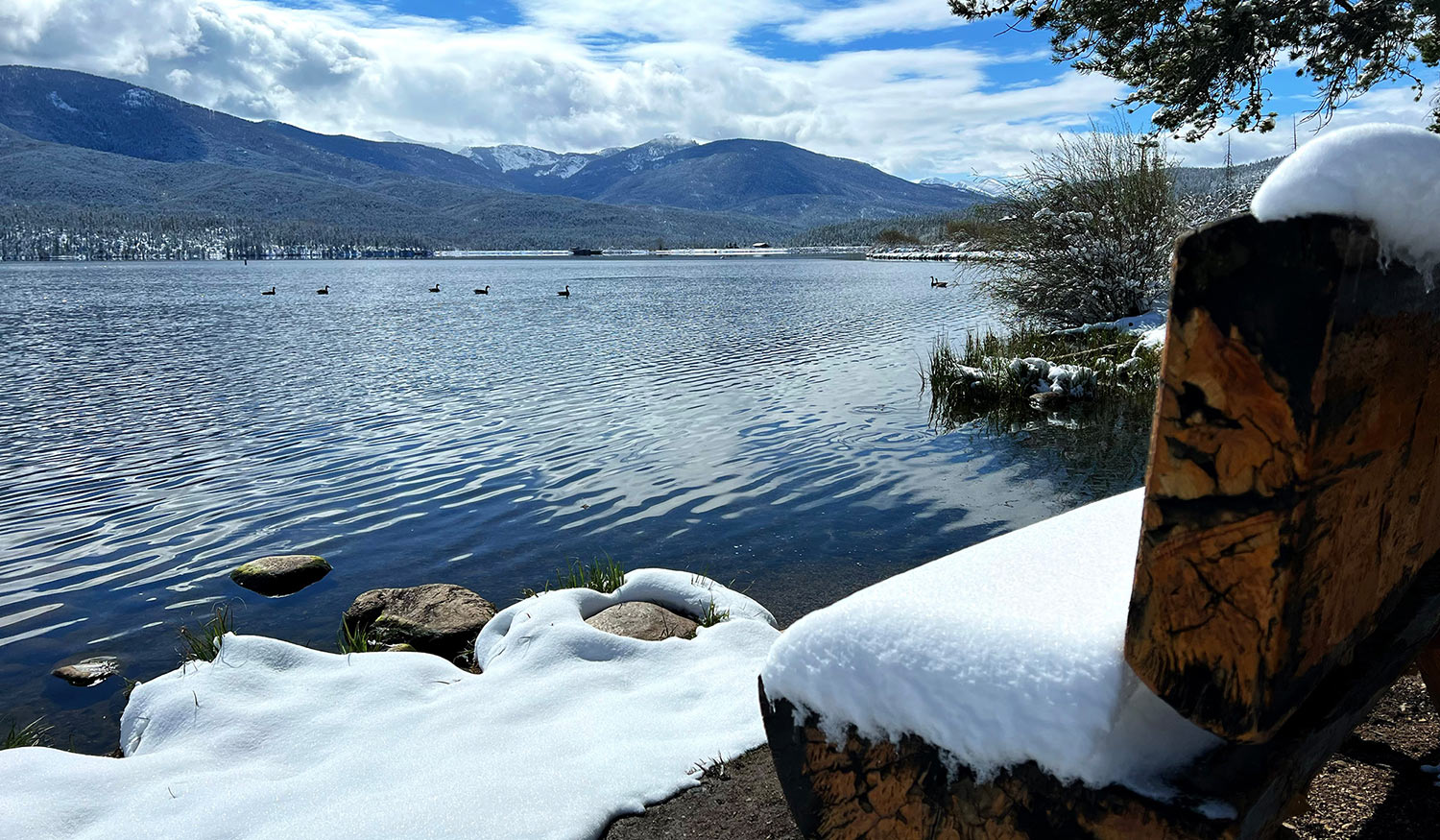 Late Spring Snowstorm