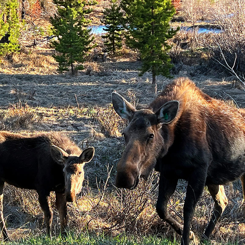 Rocky Mountain National Park