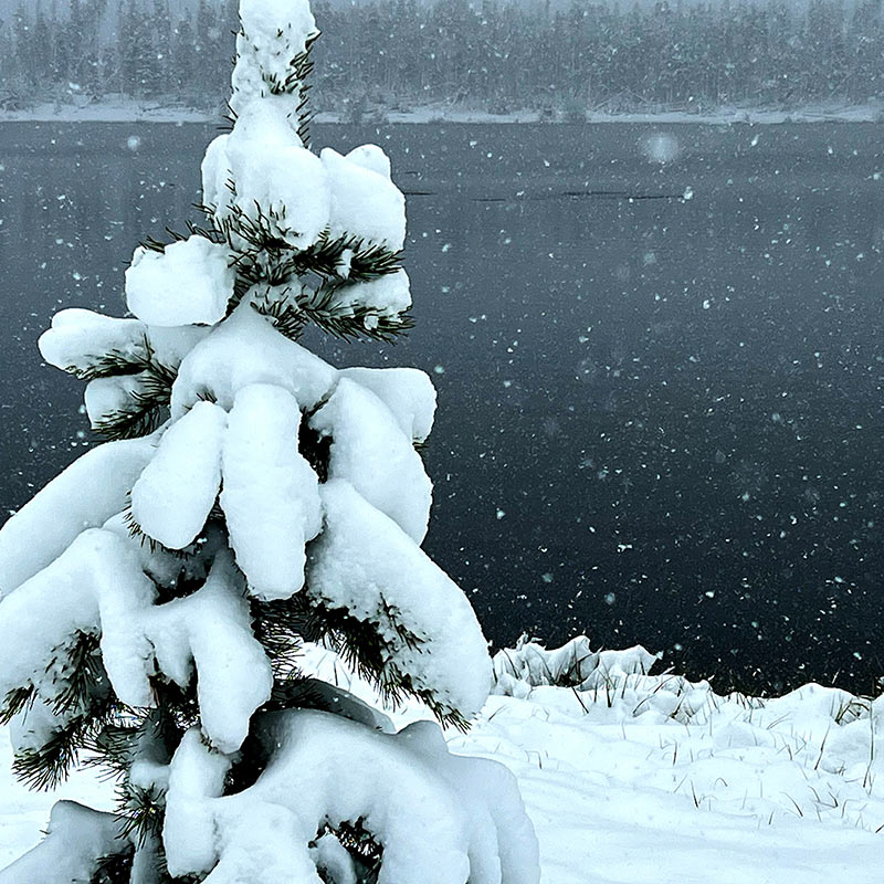 Shadow Mountain Lake