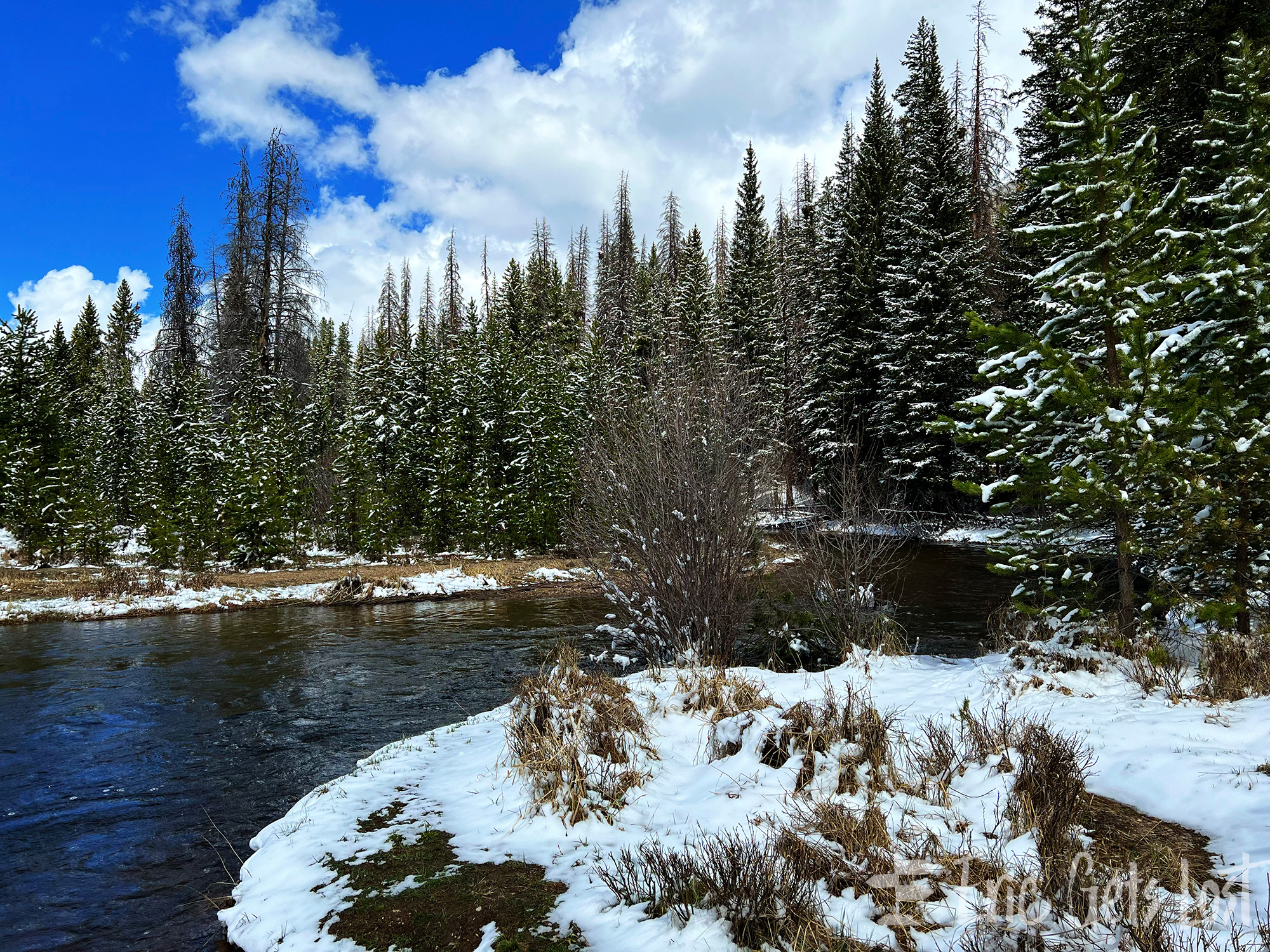 Colorado River