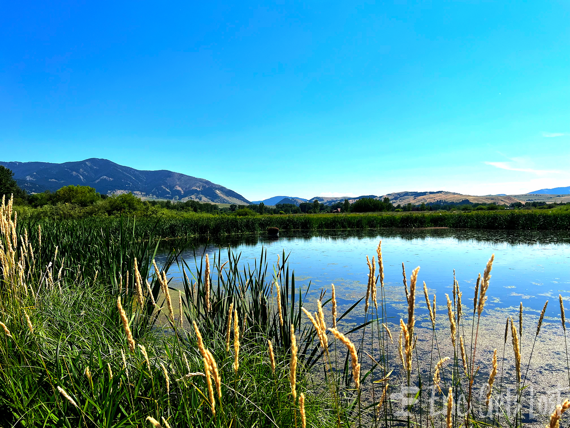 Cherry River Trailhead in Bozeman