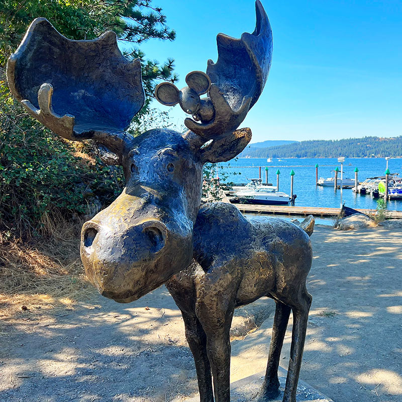 Coeur d’Alene Moose