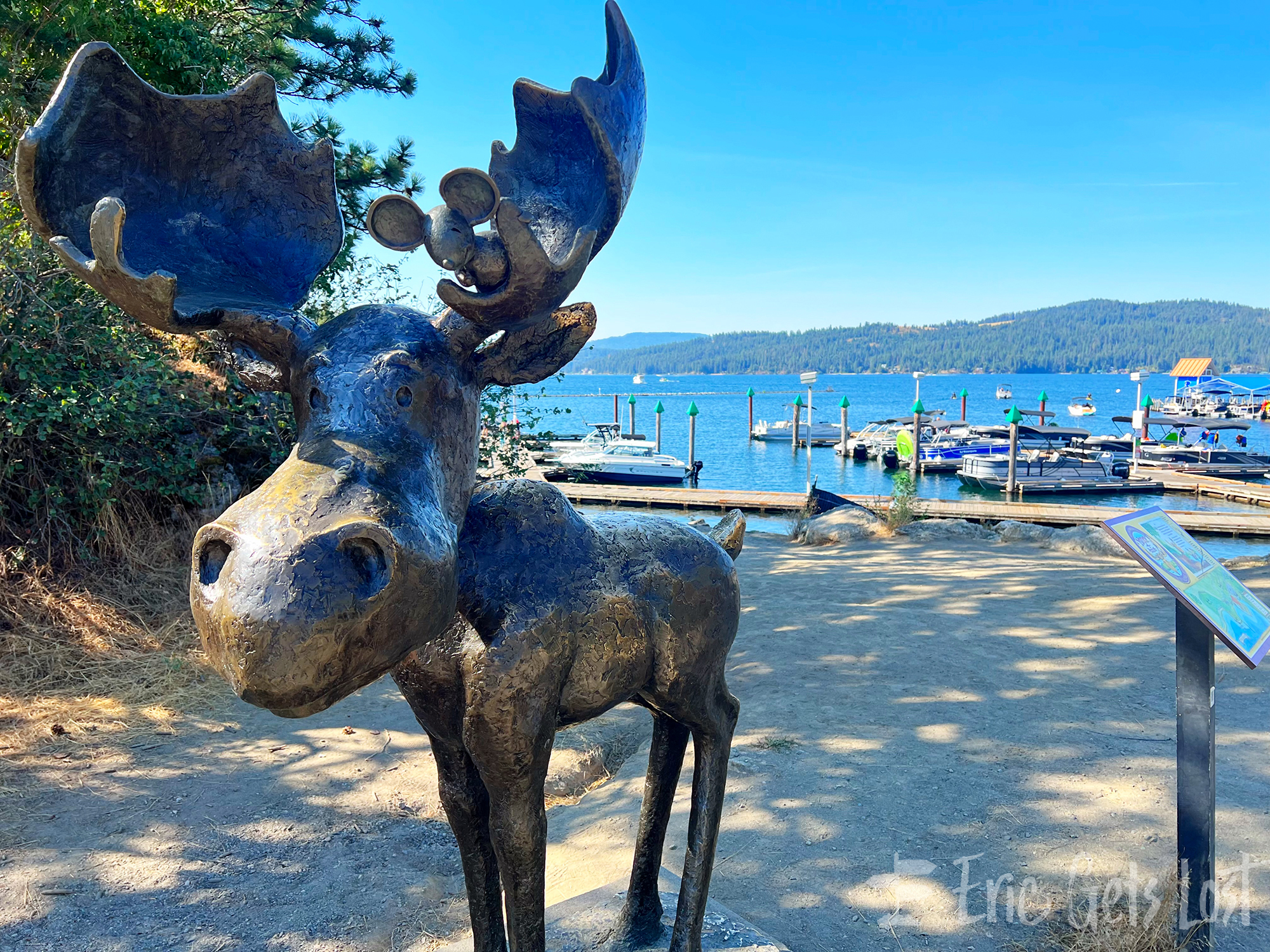 Coeur d’Alene Moose