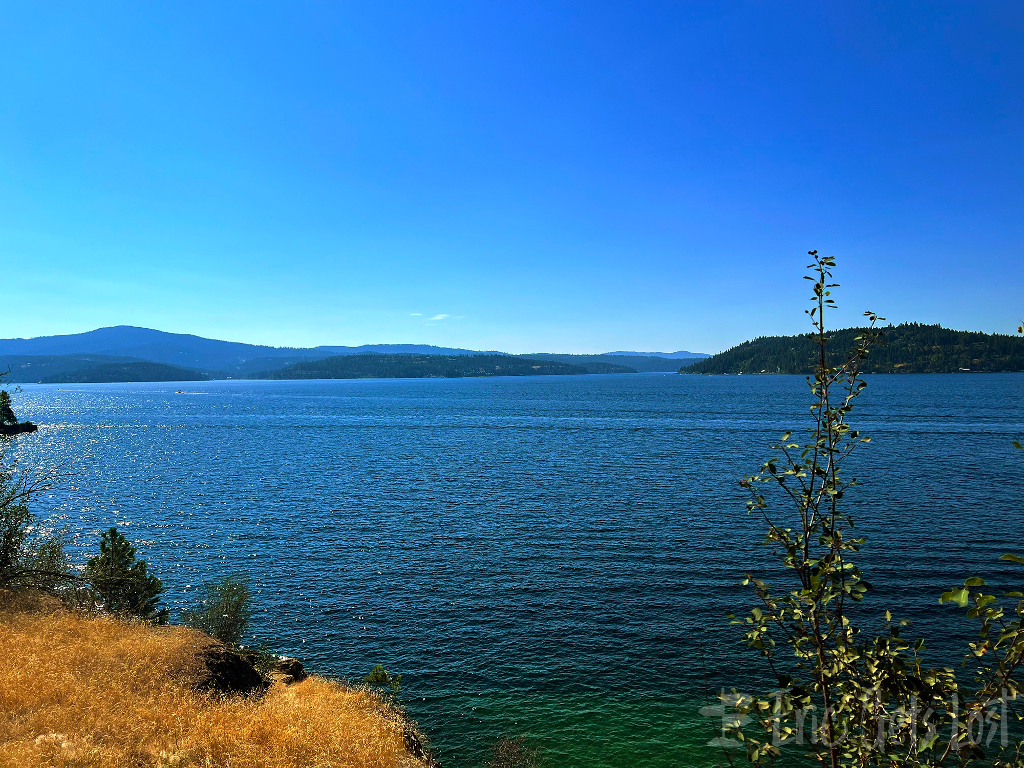 Tubbs Hill at Lake Coeur d’Alene