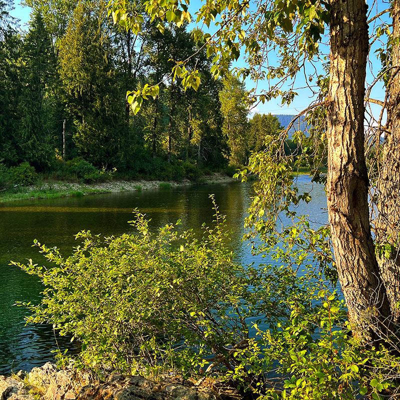 Coeur d’Alene River