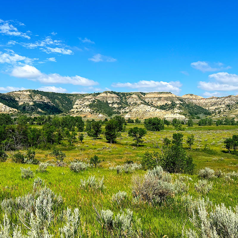 Theodore Roosevelt National Park