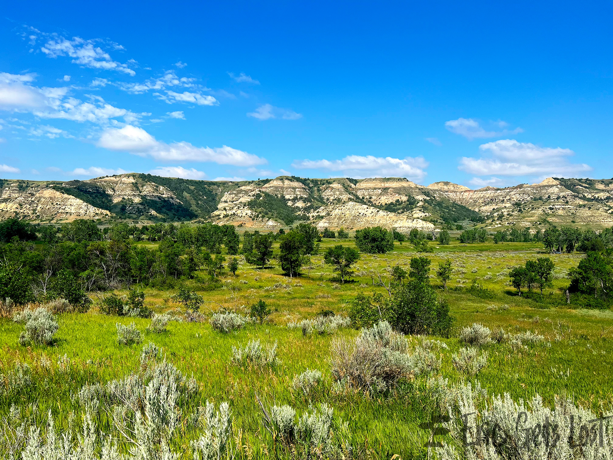 Theodore Roosevelt National Park