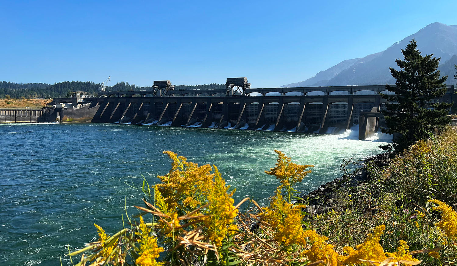 Bonneville Lock and Dam