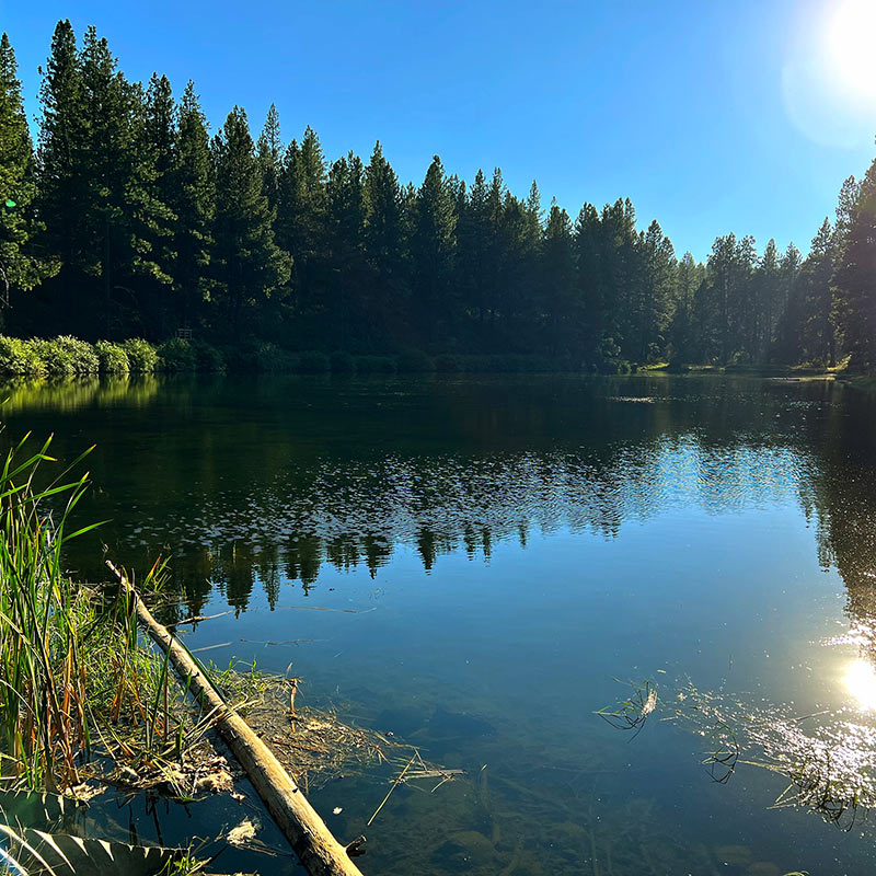 Deschutes National Forest