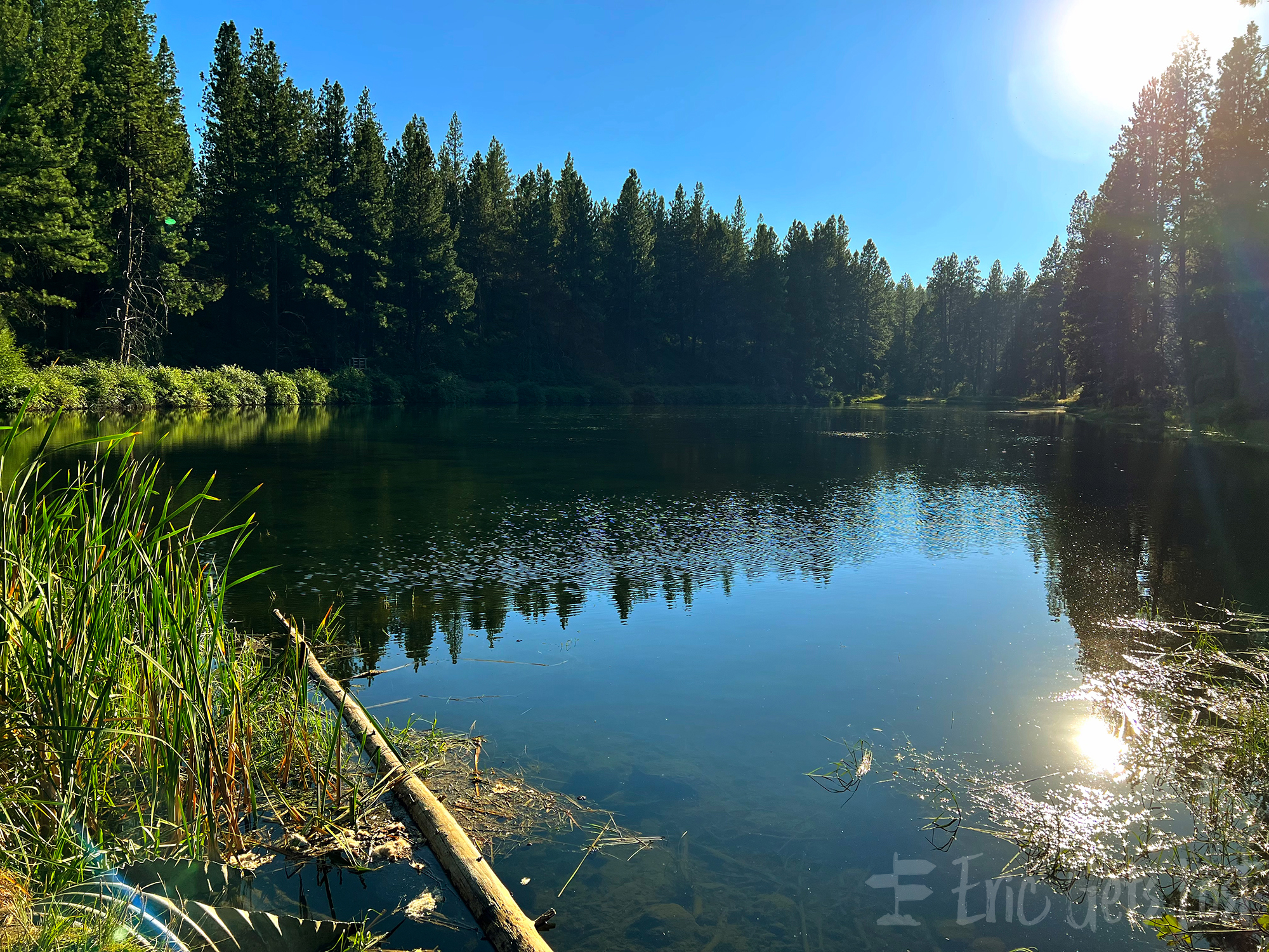 Deschutes National Forest