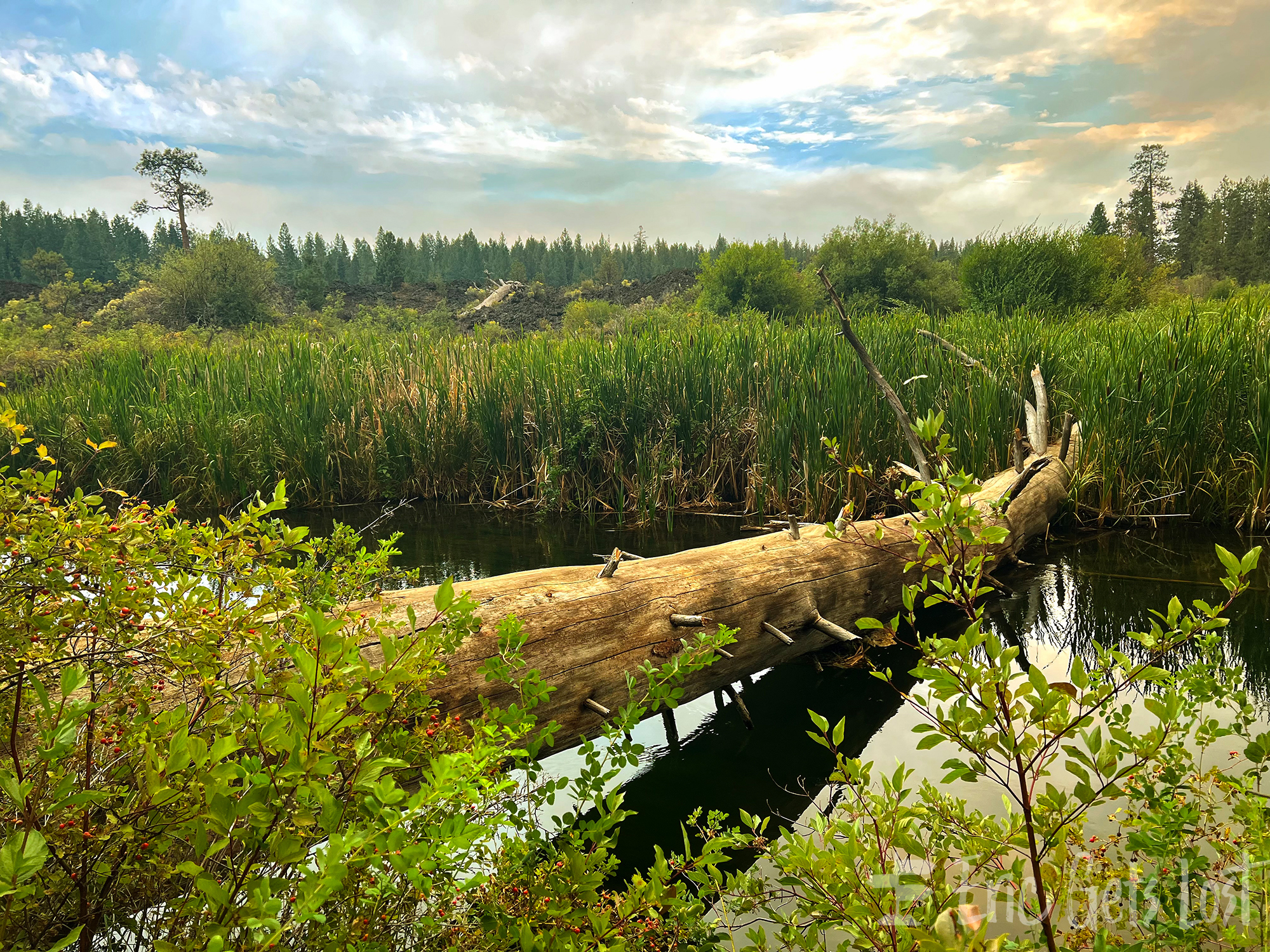 Deschutes River