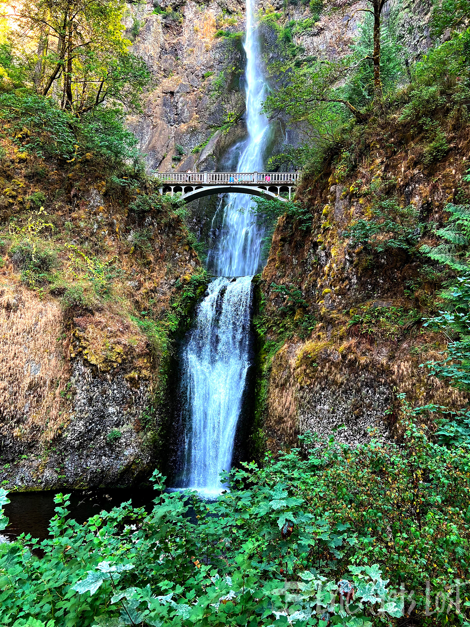 Multnomah Falls