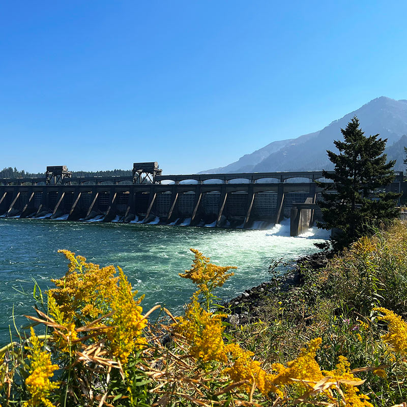 Bonneville Lock and Dam