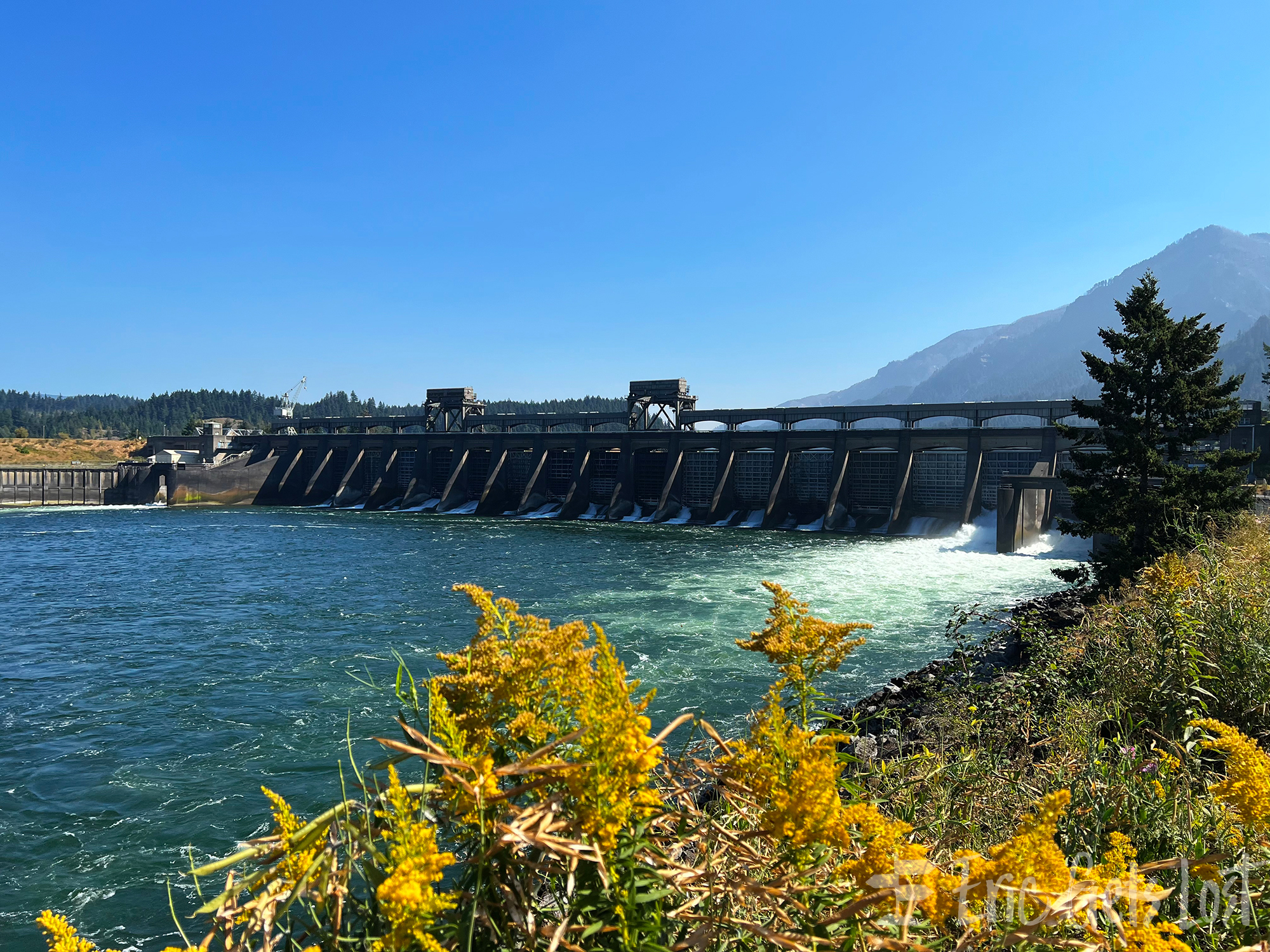 Bonneville Lock and Dam