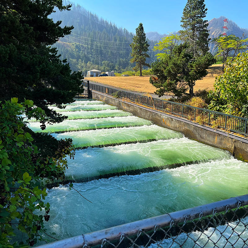 Bonneville Lock and Dam