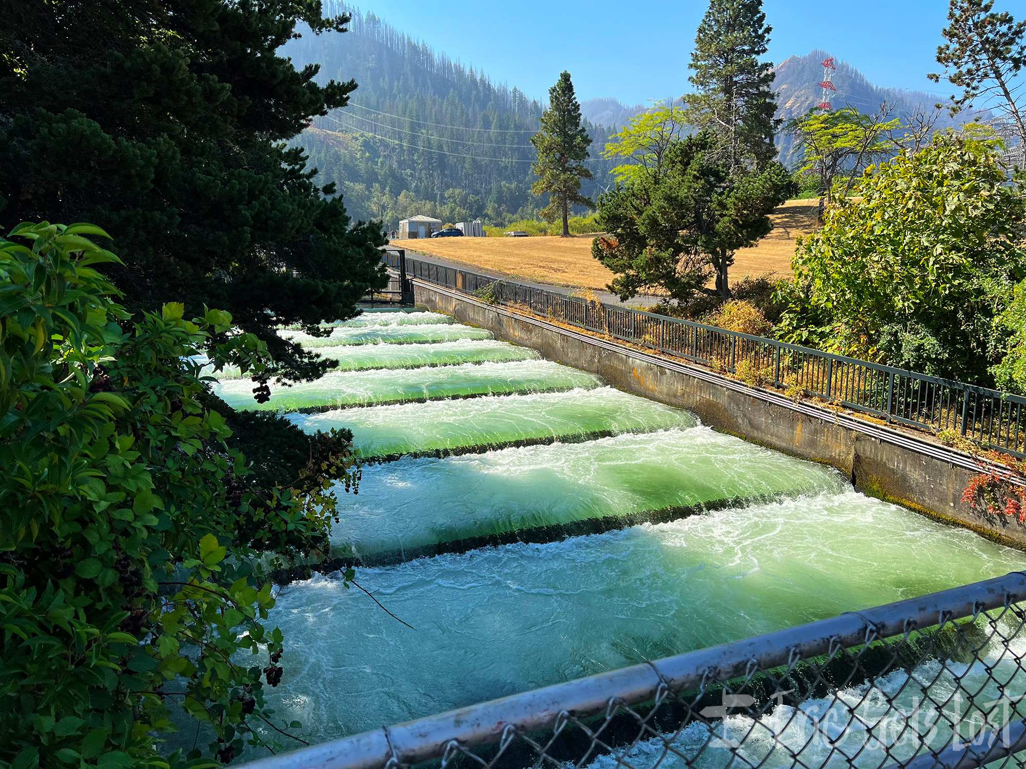 Bonneville Lock and Dam