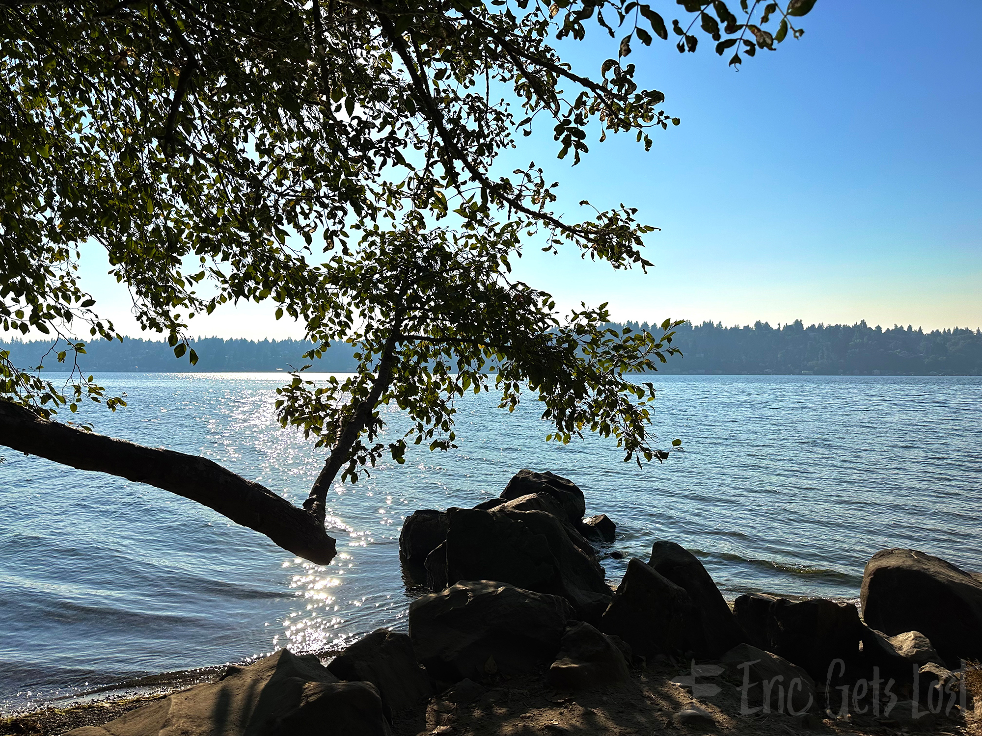 Lake Washington