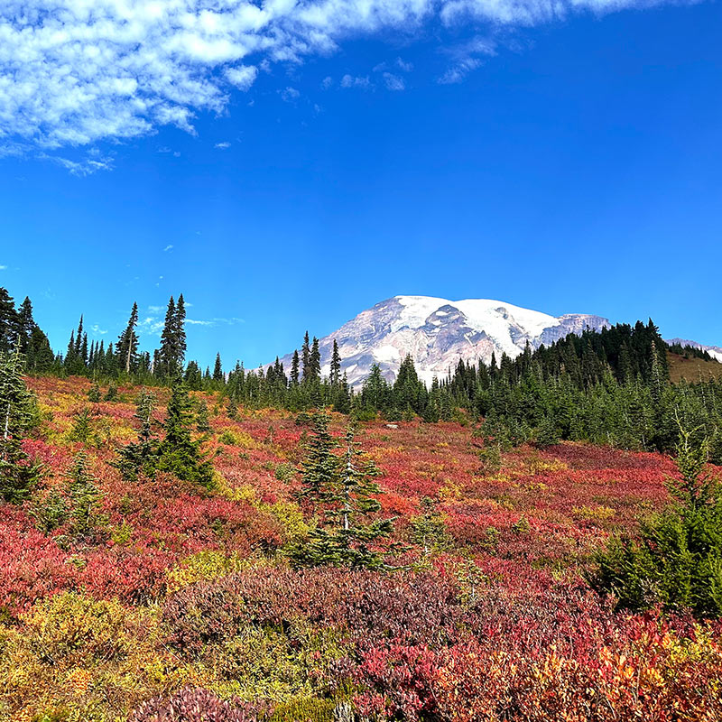 Mount Rainier National Park