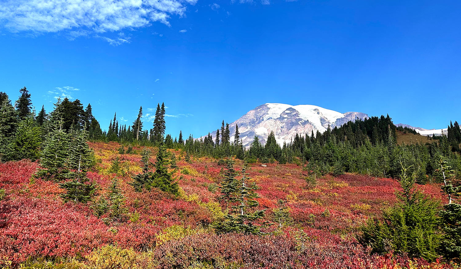 Mount Rainier National Park Eric Gets Lost