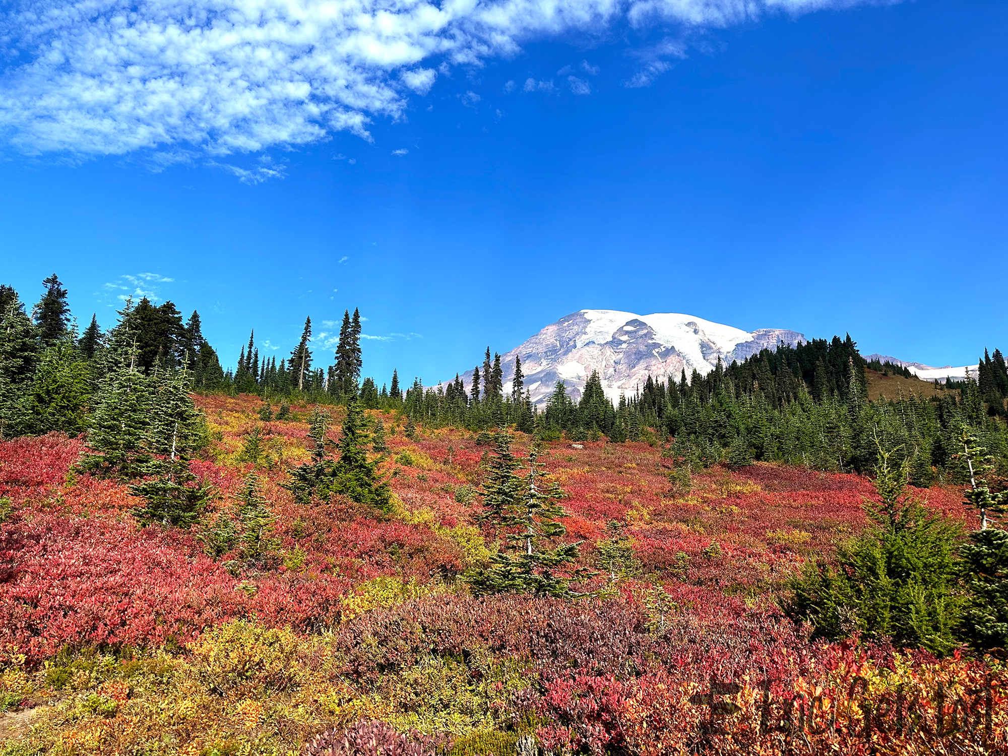 Mount Rainier National Park