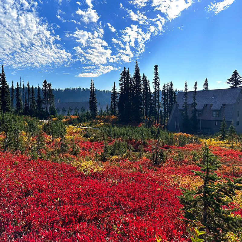 Mount Rainier National Park