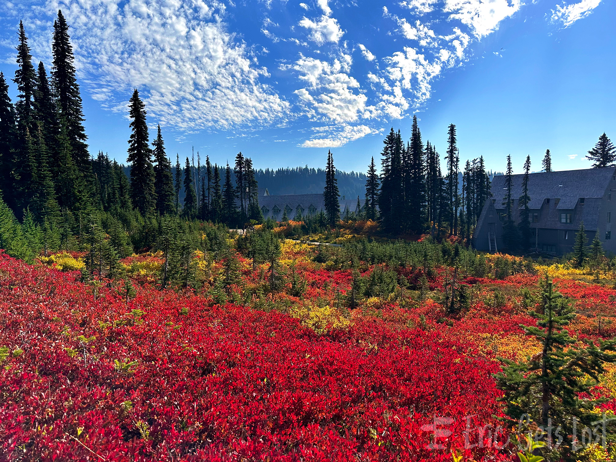 Mount Rainier National Park