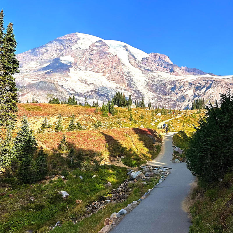 Mount Rainier National Park