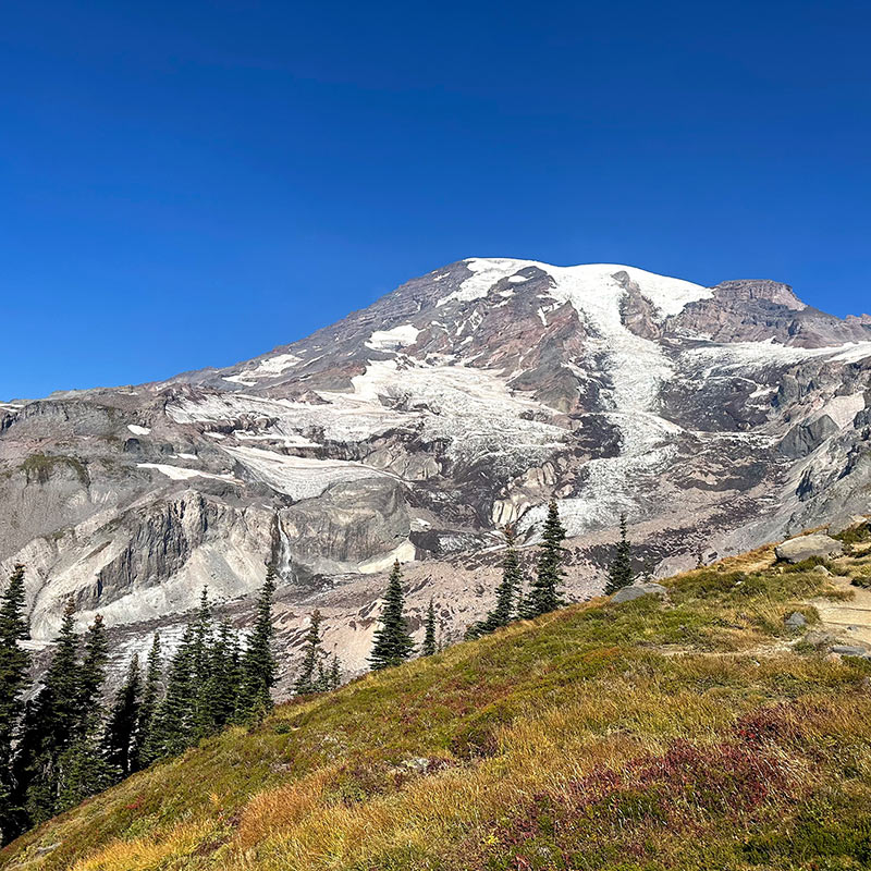 Mount Rainier National Park