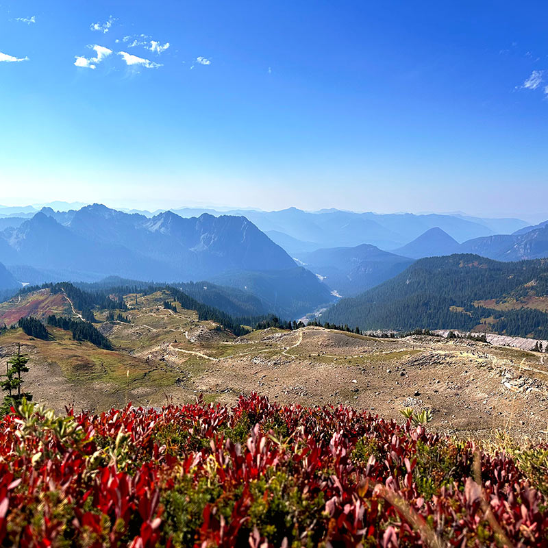 Mount Rainier National Park