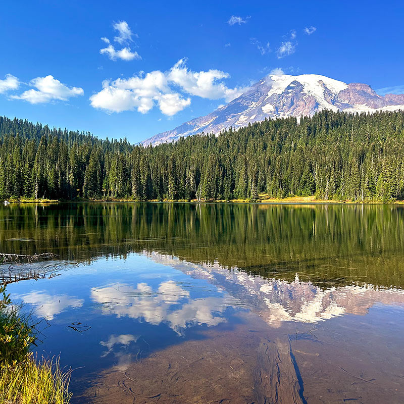 Mount Rainier National Park