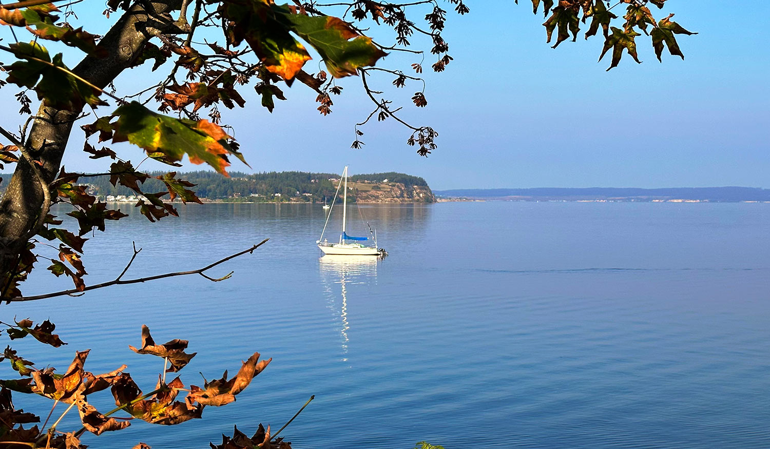 Penn Cove on Whidbey Island – Coupeville, Washington – October 2022