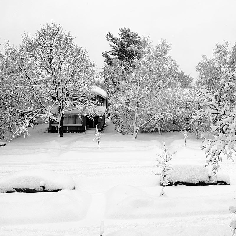 Minnesota Winter