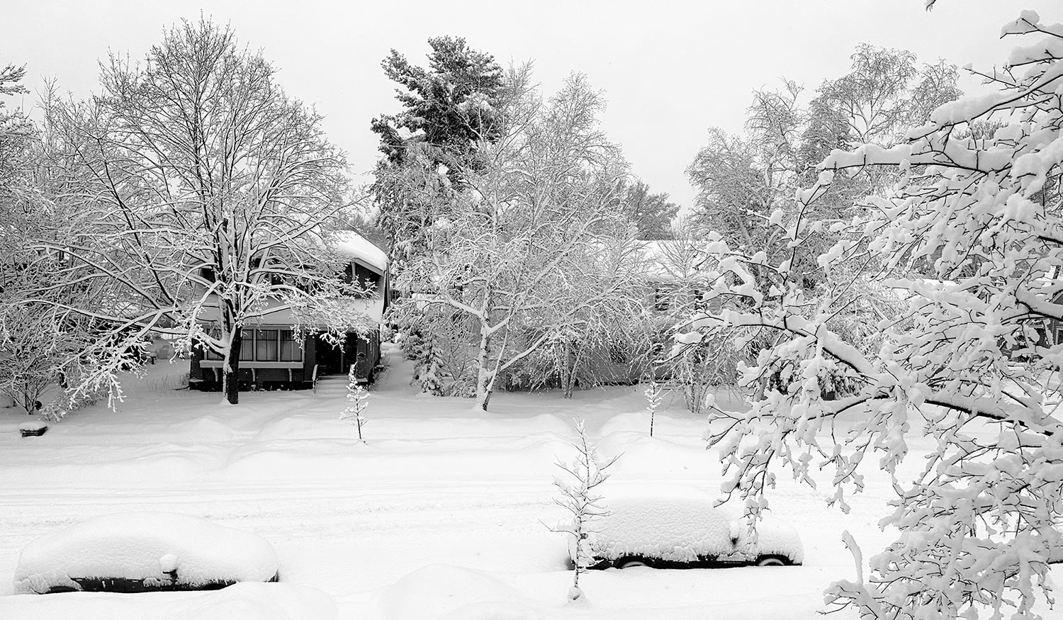 Minnesota Winter