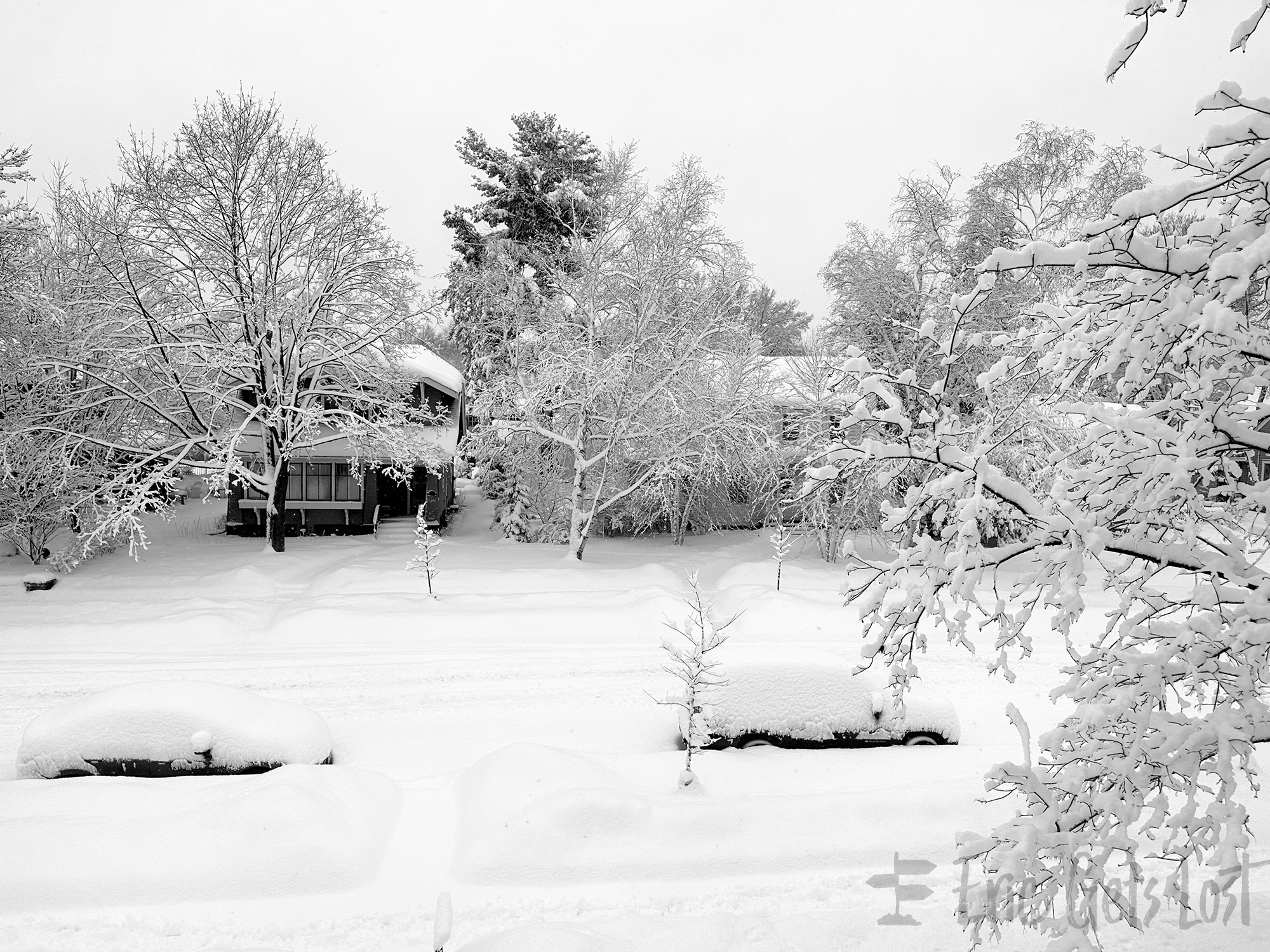 Minnesota Winter