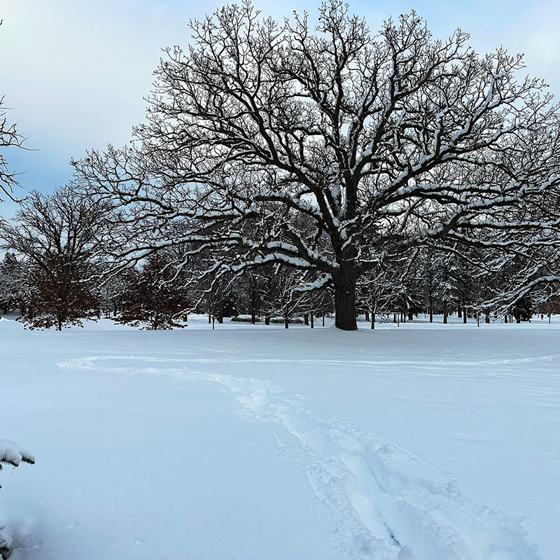 Lake Phalen