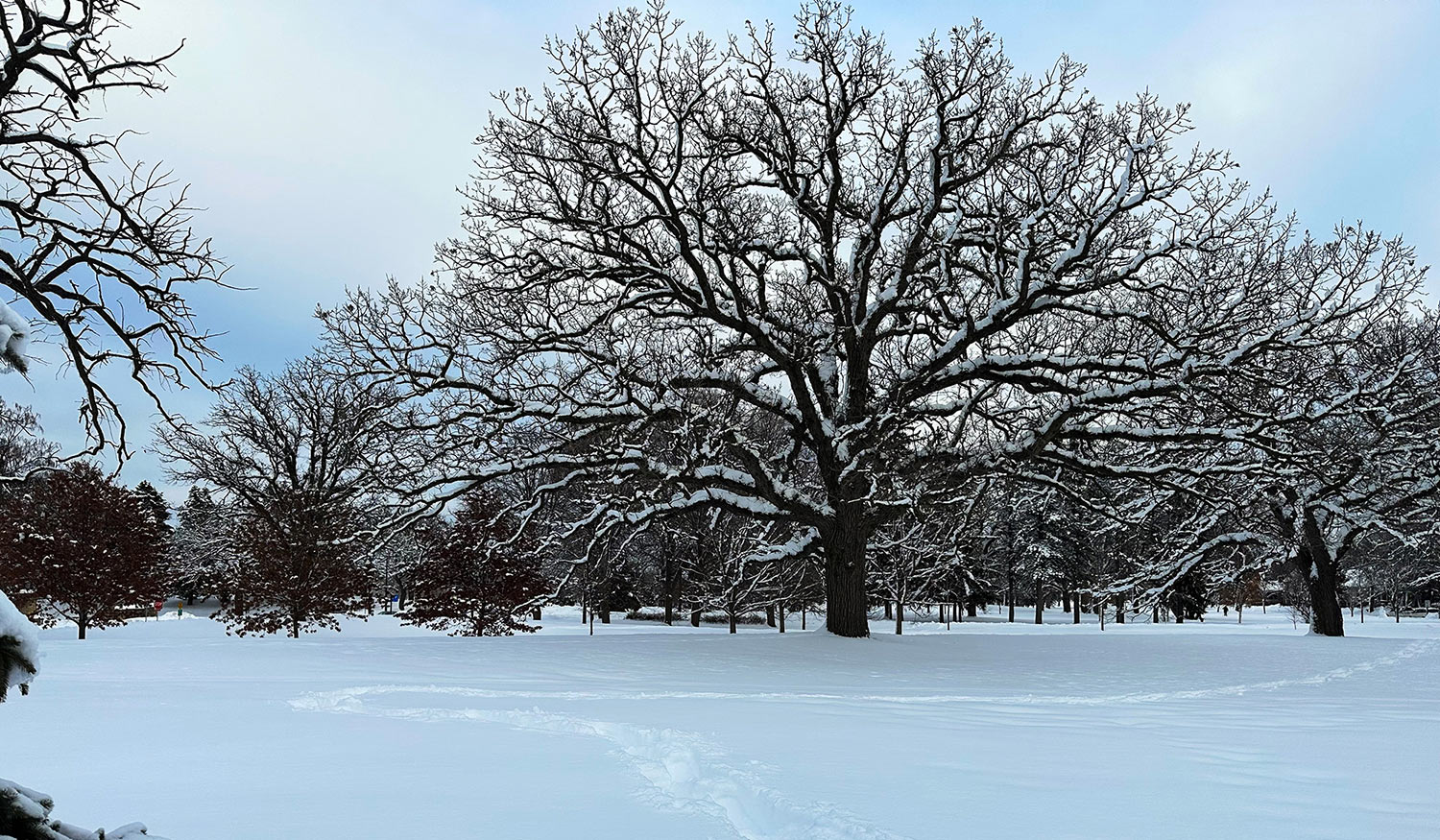 Lake Phalen Eric Gets Lost