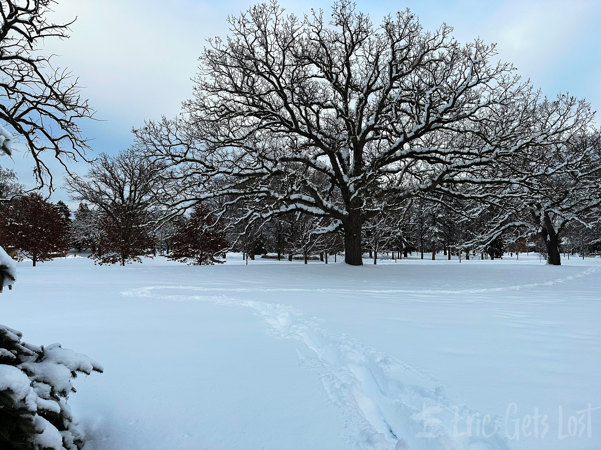 Lake Phalen