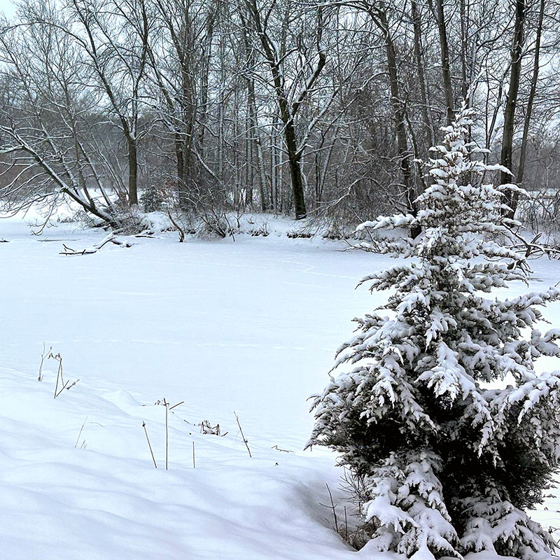 Lake Phalen