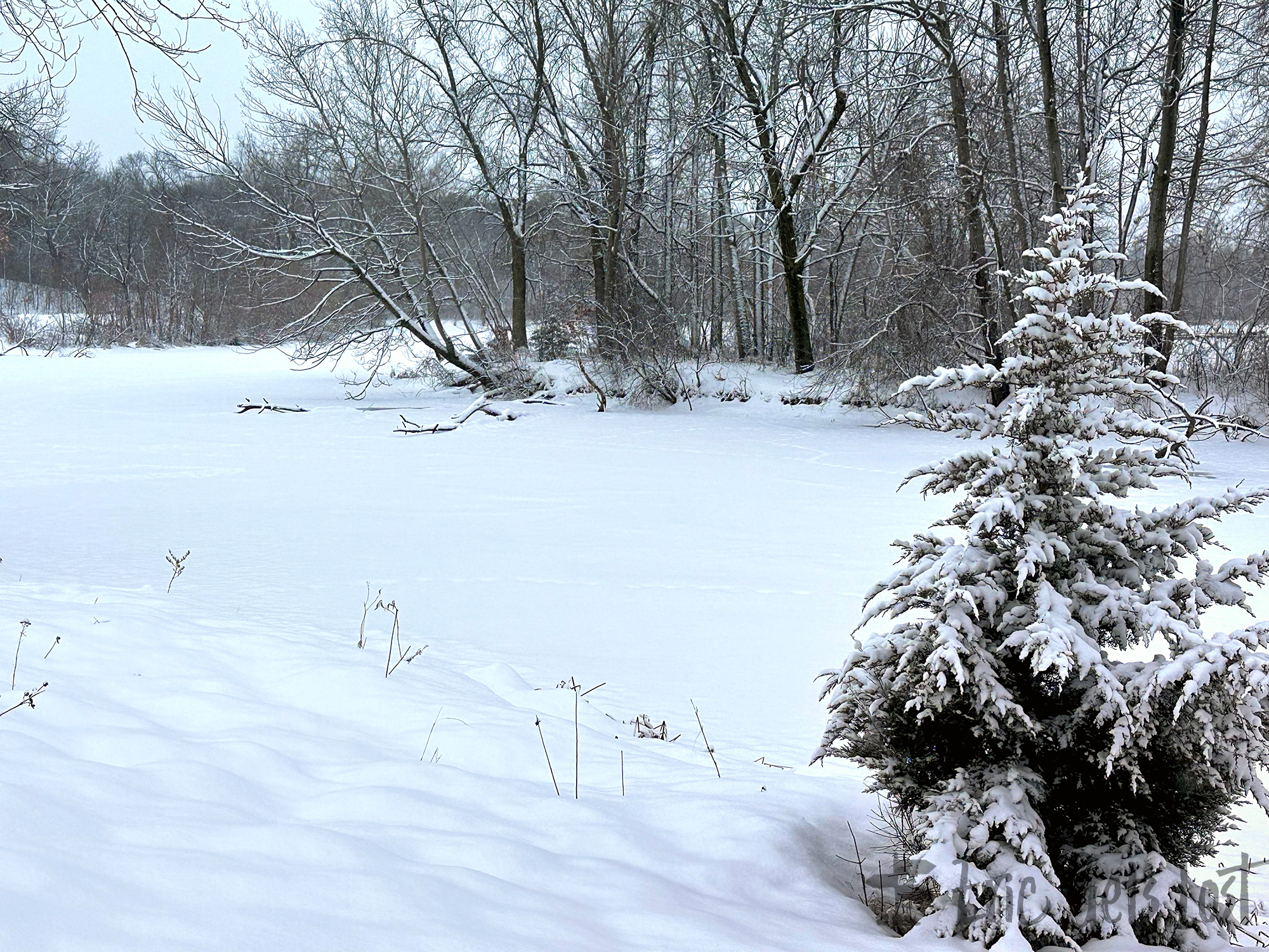 Lake Phalen