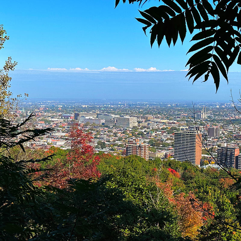 Mount Royal Park