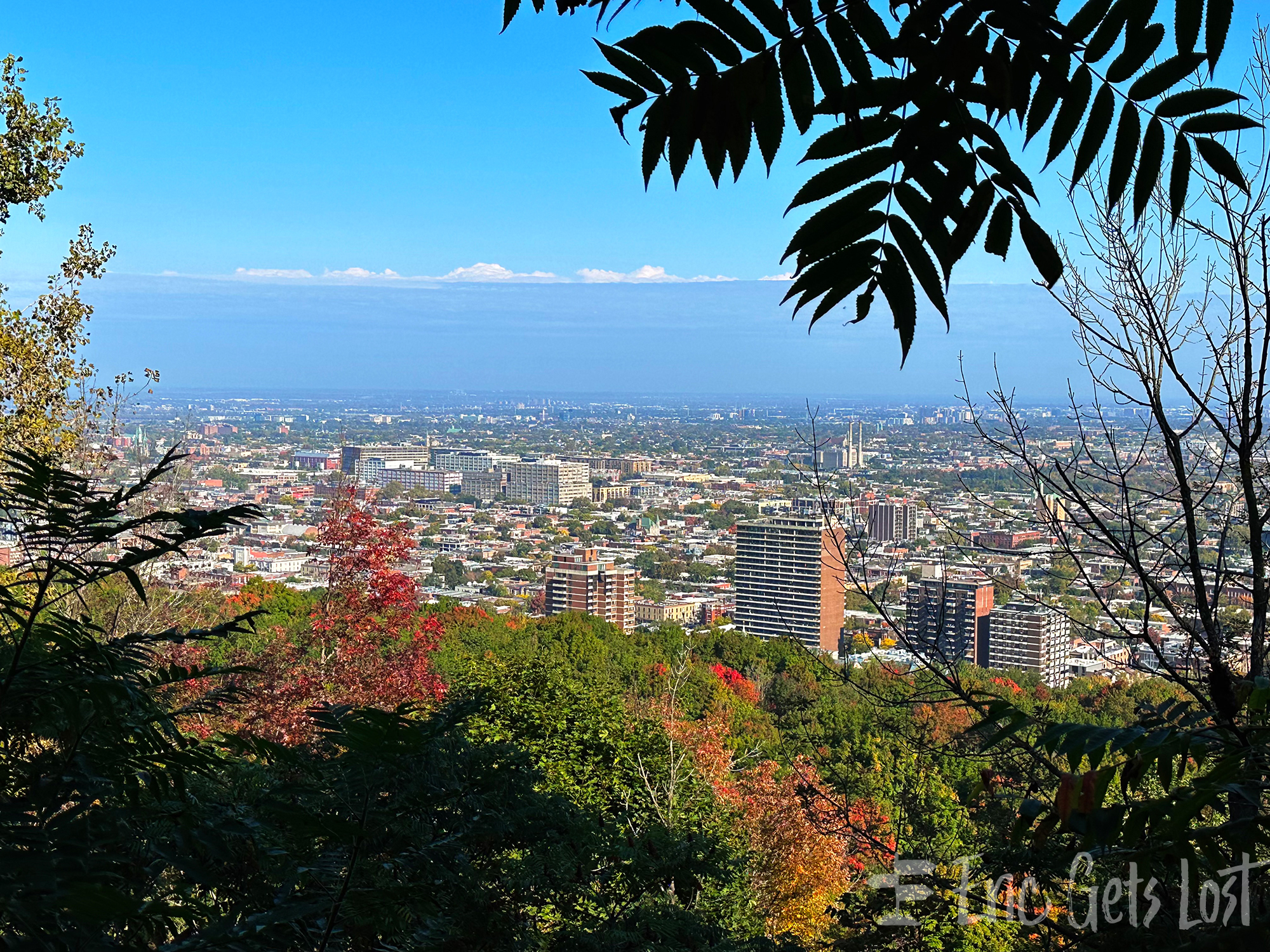 Mount Royal Park