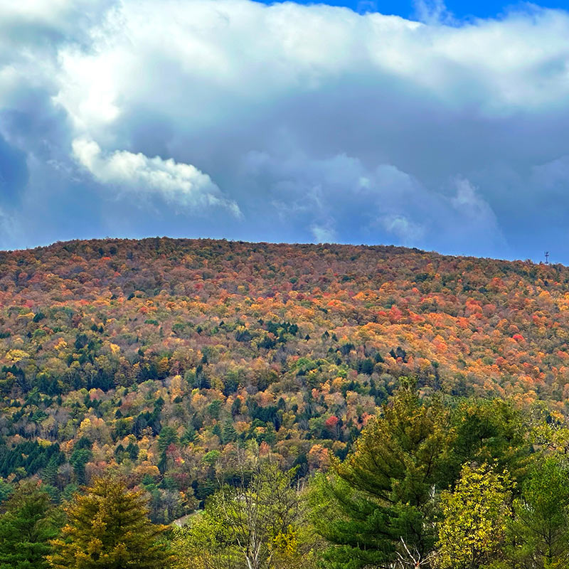 Green Mountains