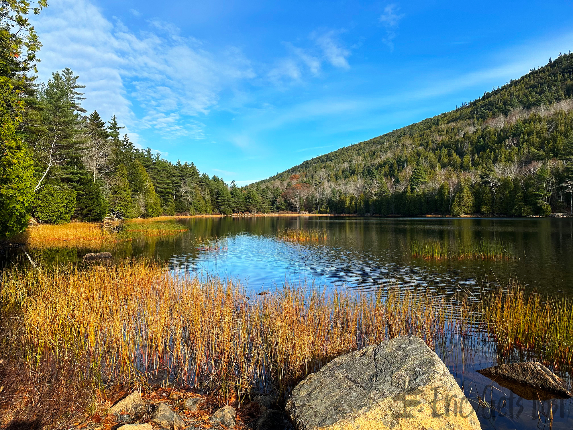 Bubble Pond