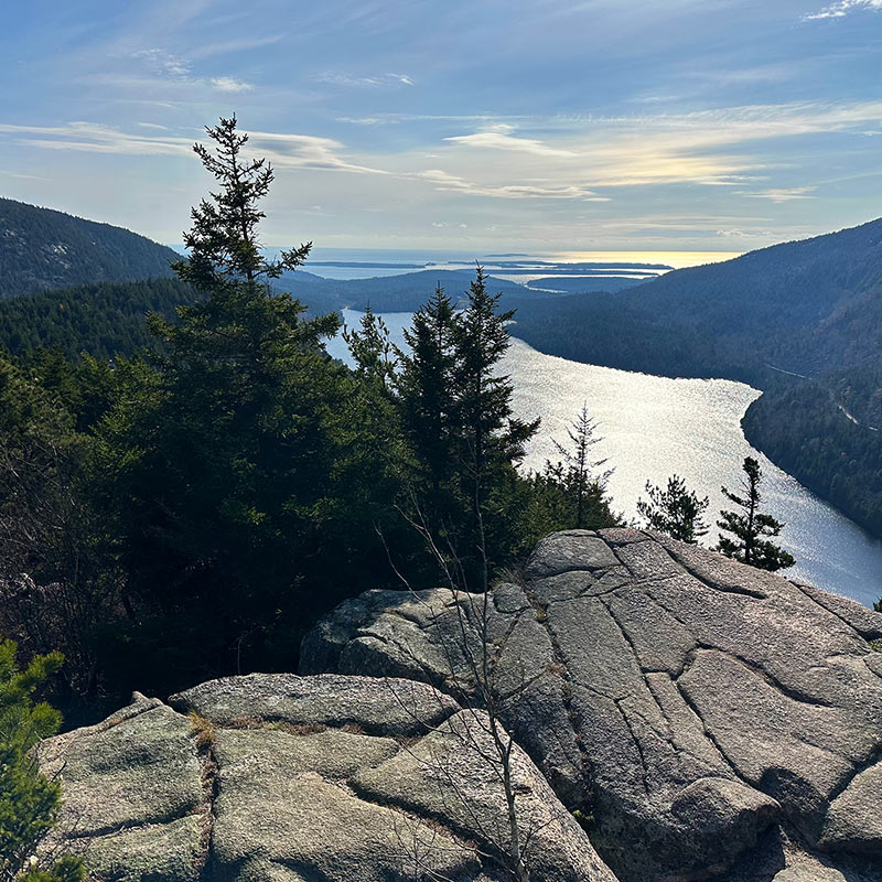 North Bubble Summit