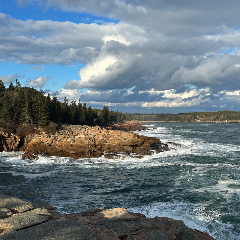 Gulf of Maine