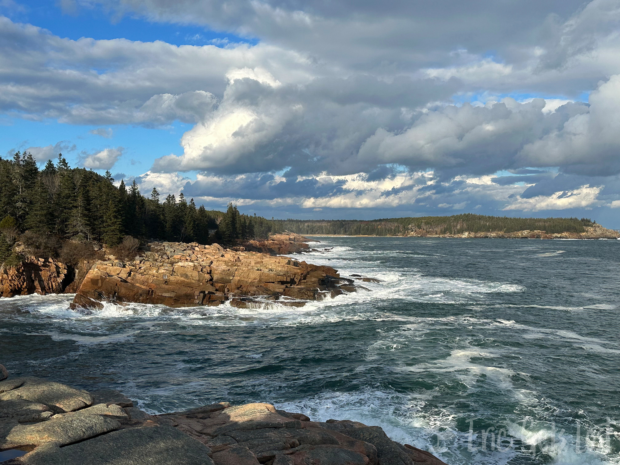 Gulf of Maine