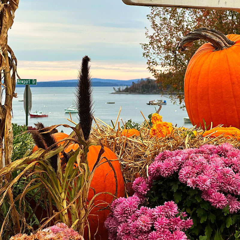 Bar Harbor